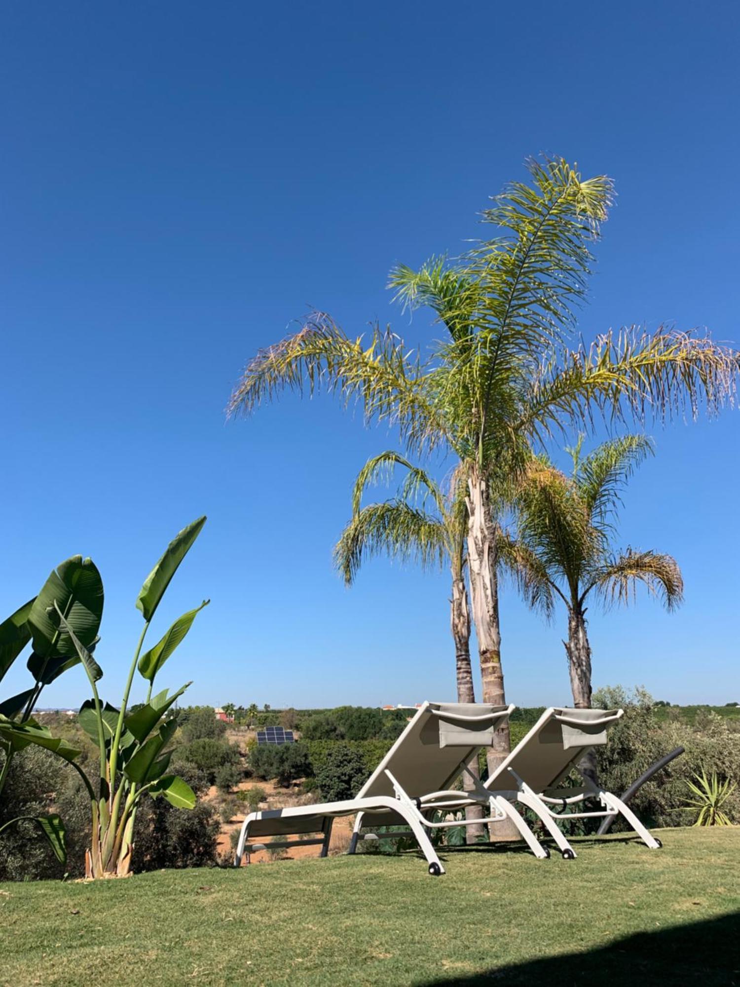 B&B Quinta A Fonte Tavira - Adults Only Zewnętrze zdjęcie