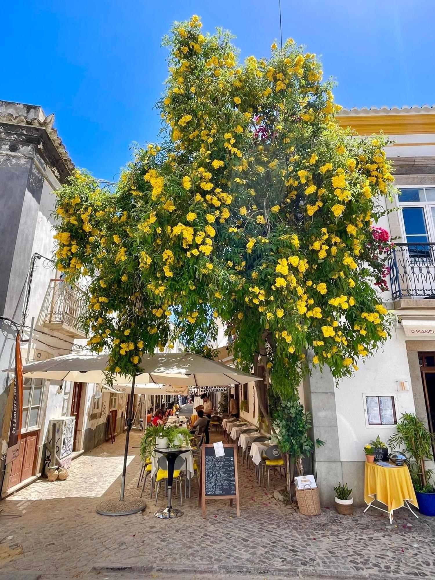 B&B Quinta A Fonte Tavira - Adults Only Zewnętrze zdjęcie