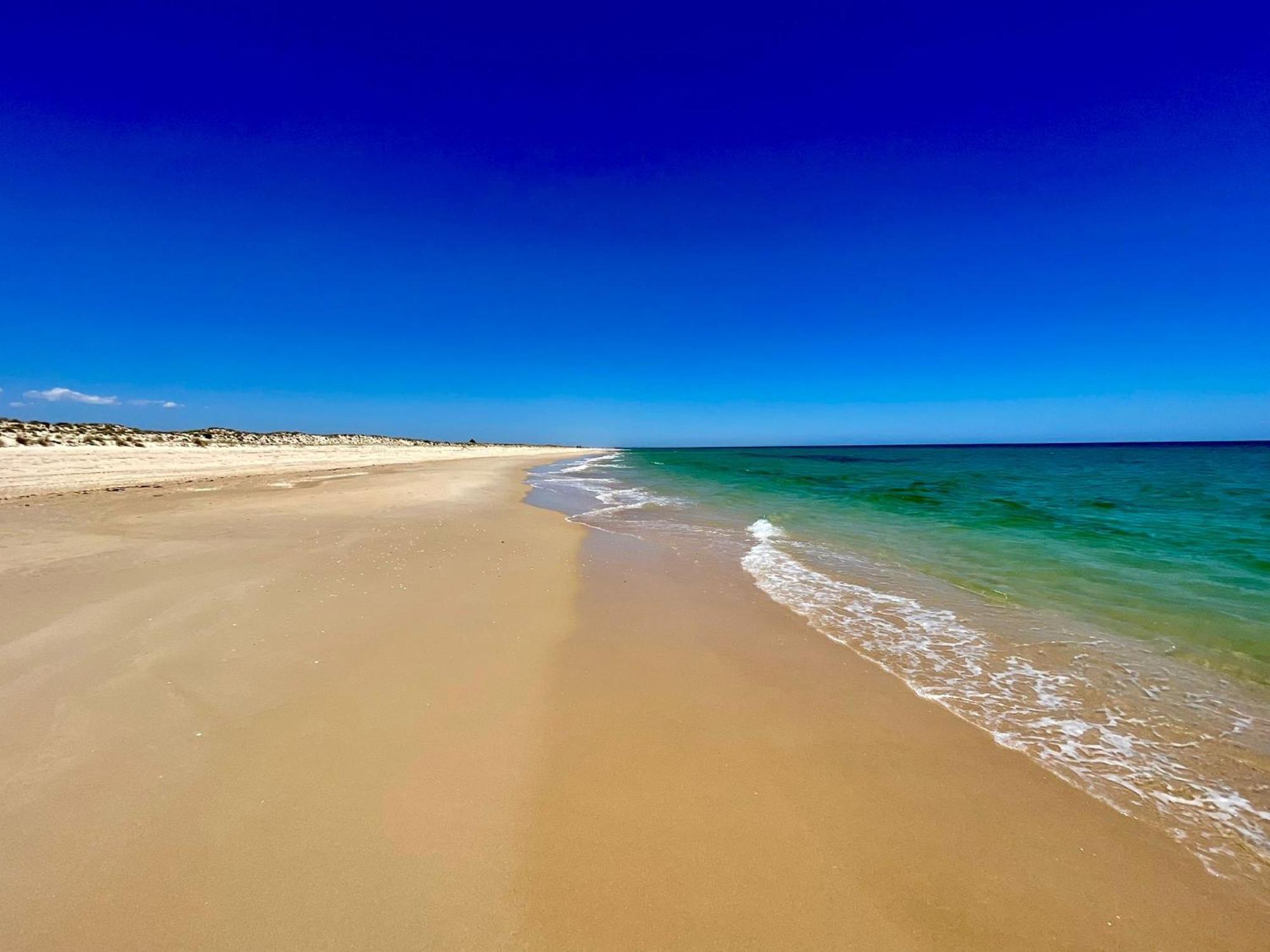 B&B Quinta A Fonte Tavira - Adults Only Zewnętrze zdjęcie